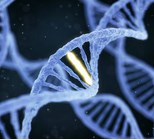 מוטציות בגנים BRCA1 ו-BRCA2: כל מה שחשוב לדעת-תמונה