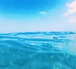 חרדת מים: כן, יש דבר כזה!-תמונה