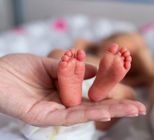 אי ספיקה שלייתית - תמונת אווירה