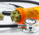 קנאביס רפואי: כל מה שחשוב לדעת-תמונה