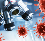 הלם זיהומי - תמונת המחשה