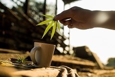 דיאטה ללא פחמימות - תמונת אווירה