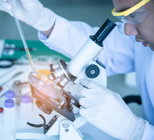 רגישות לחיסונים - תמונת אווירה