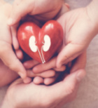 שומרים על הספיקה: הקשר החשוב בין בעיות לב לכליות-תמונה