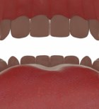 Froggy Mouth: מכשיר מהפכני לטיפול בתפקוד שרירי הפנים, השפתיים והלשון-תמונה