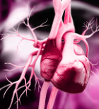 זרקור על מסתמי הלב -תמונה