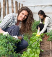 הקשר בין התנדבות לשיפור הבריאות האישית-תמונה