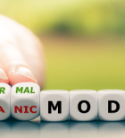 חוזרים לתפקוד בימי מלחמה: טיפול פסיכולוגי אינטגרטיבי -תמונה