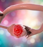 מחזור בגיל צעיר - תמונת אווירה