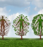 טיפול שיאצו - תמונת המחשה