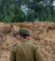 טיפול בהלומי קרב: מהו הטיפול האפקטיבי ביותר?-תמונה