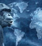 זן חדש וקטלני של אבעבועות הקוף – למי מומלץ להתחסן?-תמונה