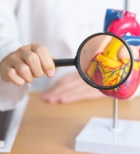 מחלת לב מסתמית – כיצד בוחרים את הטיפול הנכון?-תמונה