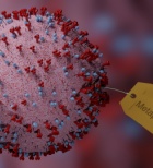 התפרצות HMPV בישראל: כ-100 מקרים חדשים של הנגיף הנשימתי מסין-תמונה