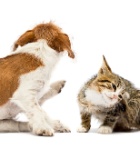 אי שקט - תמונת המחשה