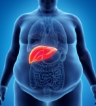 קלופידוגרל - תמונת אווירה