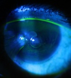 נטייה לאלימות - תמונת אווירה