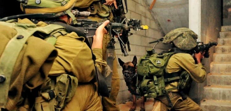 לוחמי צה"ל בעזה. צילום: שאטרסטוק