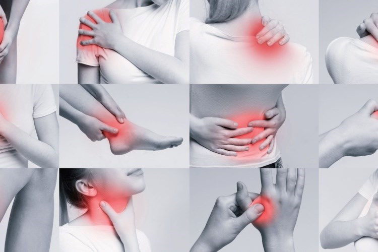 גוף-נפש טיפולים