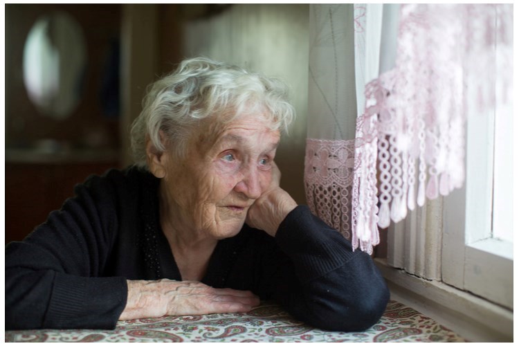 הערכה גריאטרית