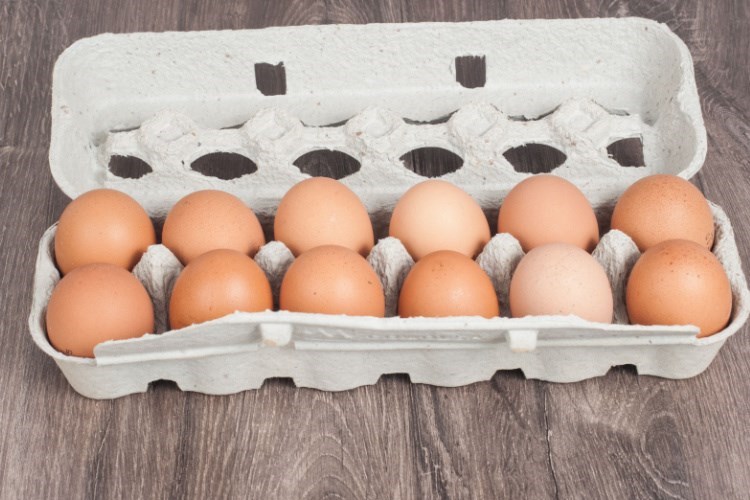 אין צורך להימנע מצריכת בשר עוף וביצים, אך להקפיד על רכישה בנקודות מכירה מסודרות, בתוך קרטון או ניילון וכן על בישול מלא לפני שימוש. צילום: שאטרסטוק