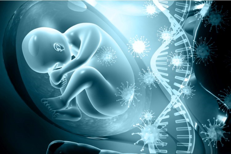 בדיקת סקר גנטית