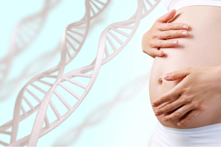 אקסום בהריון