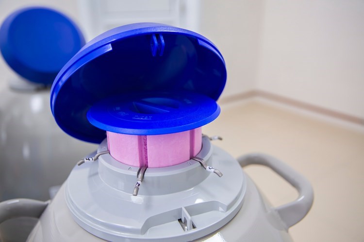 מחולל להקפאת ביציות. שימור הפוריות