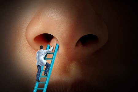 ניתוח אף משולב. אילוסטרציה: שאטרסטוק