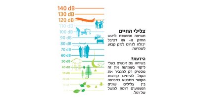 צלילי החיים (אילוסטרציה: מדטכניקה אורתופון)