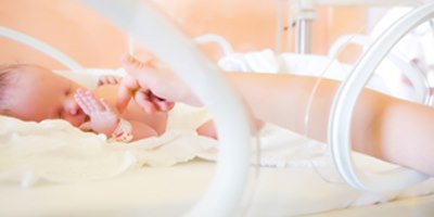 בעיות כליה בפגים (אילוסטרציה צילום shutterstok)