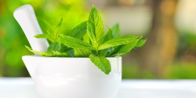 טיפול צמחי בהפרעות קשב וריכוז. צילום: shutterstock