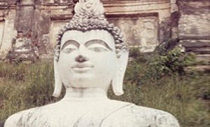 חיסונים לפני נסיעה לחו"ל