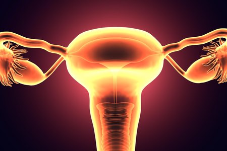 סרטן רירית הרחם (צילום: שאטרסטוק)