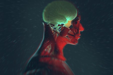 מחלות מוח ניווניות נוצרות בעיקר מאוטמים מוחיים. צילום: שאטרסטוק