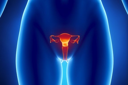 סוגי היסטרוסקופיה. אילוסטרציה: shutterstock