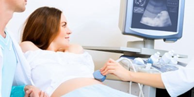 סקירת מערכות (אילוסטרציה צילום shutterstock)