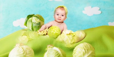 פונדקאות (אילוסטרציה צילום shutterstock)