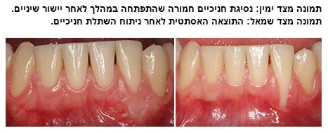 צילום: ד"ר יניב מאייר