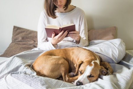 כאשר לנו נעים - גם לכלב שלנו נעים. צילום: thinkstock